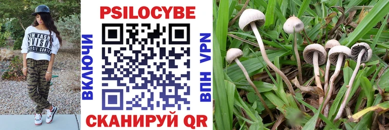 Галлюциногенные грибы Magic Shrooms  Прокопьевск 