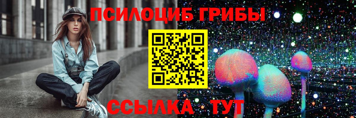 Псилоцибиновые грибы Cubensis  Вход с VPN  где продают   Прокопьевск 